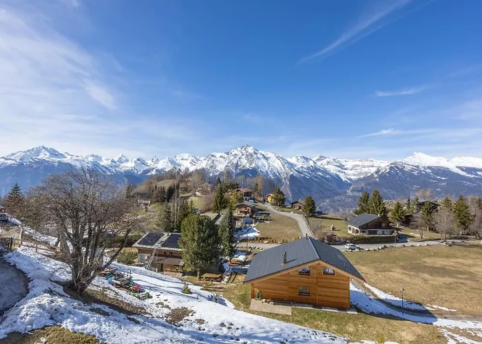 Muverans I L2 By Interhome Lejlighed Nendaz
